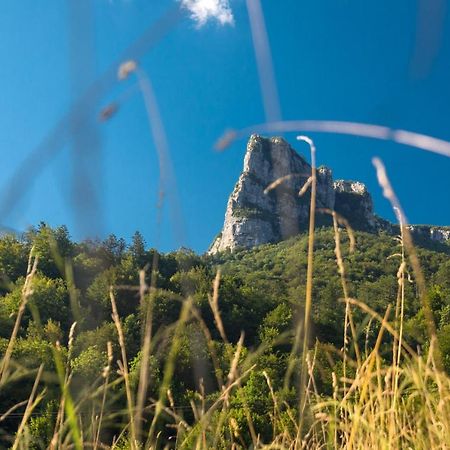 Vila Rozi, Osilnica - Vacation House Pr' Vili Rozi 外观 照片