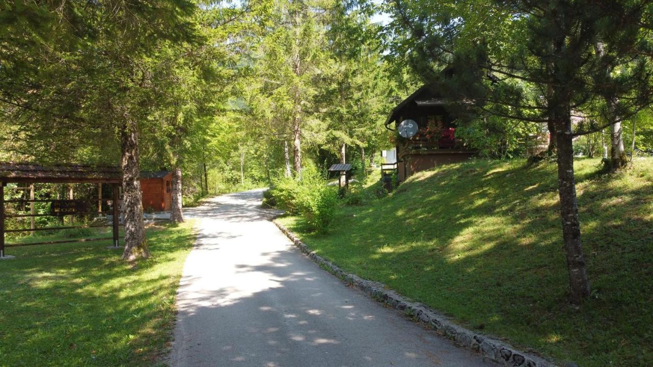 Vila Rozi, Osilnica - Vacation House Pr' Vili Rozi 外观 照片