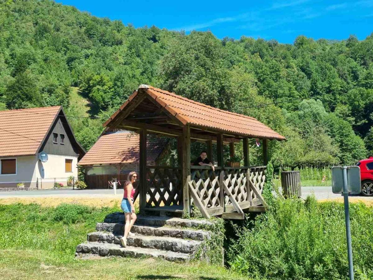 Vila Rozi, Osilnica - Vacation House Pr' Vili Rozi 外观 照片